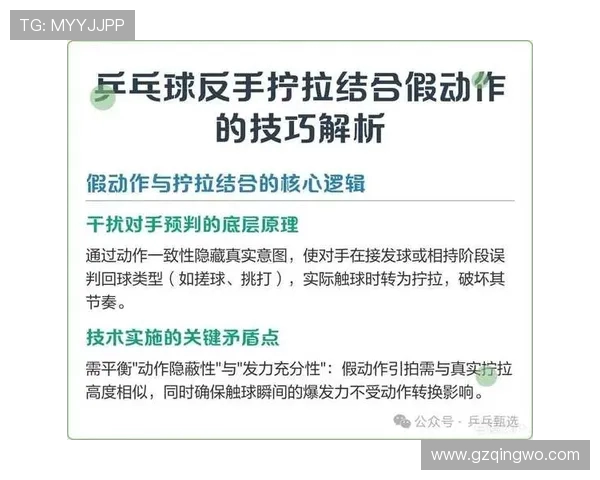 乒乓球新手必看:轻松掌握节奏与技巧的入门指南 乒乓球新手必看:轻松掌握节奏与技巧的入门指南
