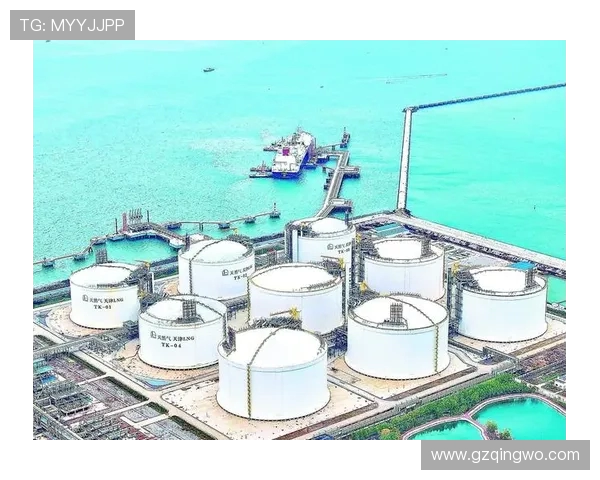 LNG在大师赛中的状态分析与表现评估探讨