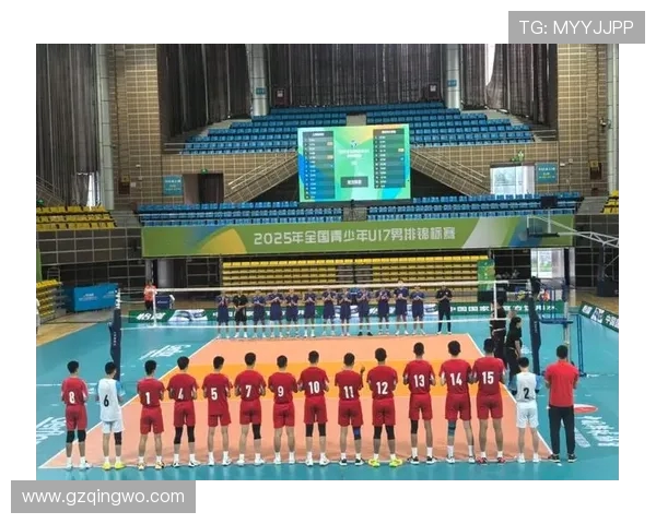 上海排球队以92分领跑奥运会积分榜展现强劲实力