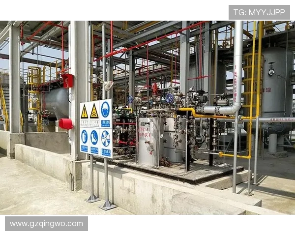 国际邀请赛分析:LNG在耐力赛中的卓越表现与战术解析