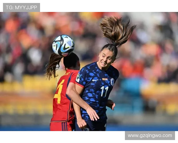 2014年世界杯经典对决荷兰对西班牙精彩视频下载回顾