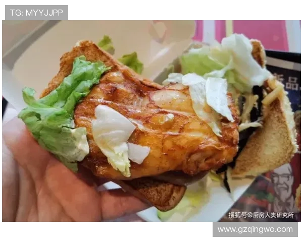 汉堡与奥斯纳的激烈对决谁能笑到最后揭晓精彩战局分析 汉堡与奥斯纳的激烈对决谁能笑到最后揭晓精彩战局分析