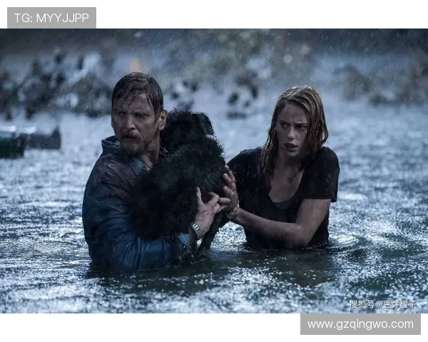 飓风来袭中的防卫与正义之辩:人性与自然的较量与思考 飓风来袭中的防卫与正义之辩:人性与自然的较量与思考