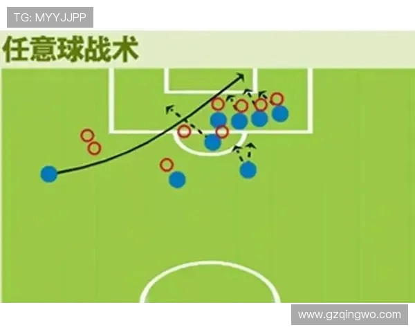 杭州排球队配合表现的数据分析与战术研究探讨