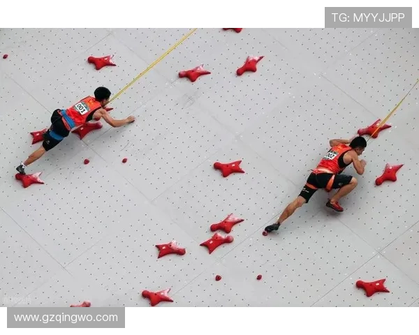 武汉攀岩队表现优异最新攀岩状态TOP10榜单揭晓