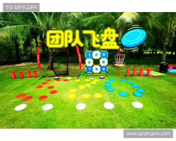 飞盘战术揭秘：上海飞盘队如何运用包夹策略提升比赛胜率