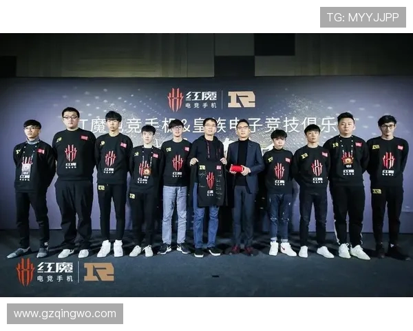 探讨RNG战队在王者荣耀中的团队配合与战术策略分析